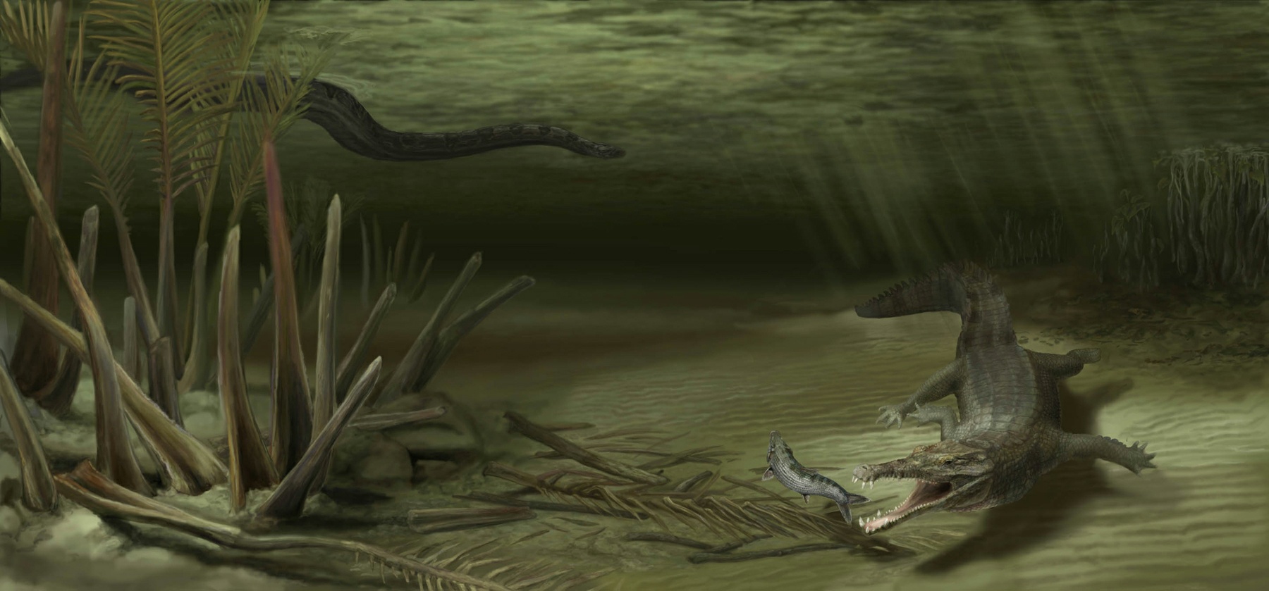 Acherontisuchus guajiraensis versus Titanoboa Acherontisuchus guajiraensis versus Titanoboa